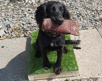 Dog Training Place Board/Platform/Dog Sports/Obedience: For Gundogs/Puppies/All Dog Breeds. Handcrafted by Montrev Gundogs! View Our Range!