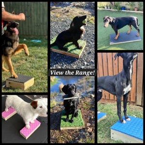May include: A collage of dogs of various breeds on training platforms. The platforms are made of wood and foam, with some featuring artificial turf. The text "View the Range!" is displayed in the center of the image.