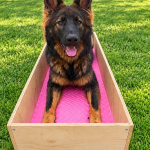 May include: A rectangular wooden box with a bright pink textured rubber mat lining the interior floor. The box features light-coloured plywood sides joined with metal screws. The text "Position Box" is printed below the wooden structure.