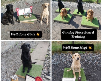 Dog Training/dog Sports Place Board/platform for Gundogs/puppies/all Dog  Breeds/handcrafted: Custom Made Options Available on Request 