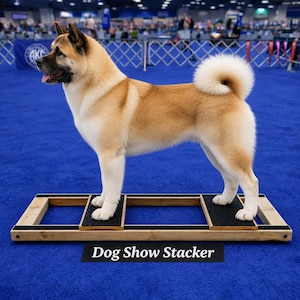 May include: A wooden dog show stacker with black non-slip platforms for paws, featuring the text Dog Show Stacker printed on a black rectangular sign. The frame is constructed from light-coloured wood and is designed for canine positioning.