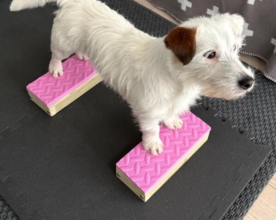 Handcrafted Dog Training Stacking Blocks, Agility, Show Conformation