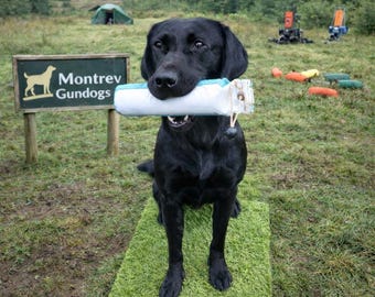 Könnte beinhalten: Ein schwarzer Labrador Retriever steht auf einer rechteckigen Plattform aus Kunstrasen und hält einen zylindrischen, weiß-hellblauen Trainingsdummy im Maul. Links steht ein Holzschild mit der Aufschrift Montrev Gundogs.