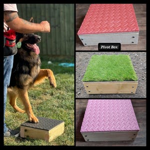 Caja pivotante/Plataforma para adiestramiento canino/Deportes caninos/Obediencia/Agility/IGP. Apto para todas las razas de perros y cachorros: ¡Fabricado artesanalmente por Montrev Gundogs!