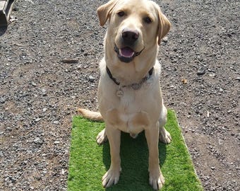 Dog Training Place Board/Platform/Dog Sports/Obedience for Gundogs/Puppies/All Dog Breeds: Handcrafted by Montrev Gundogs. View our Range!