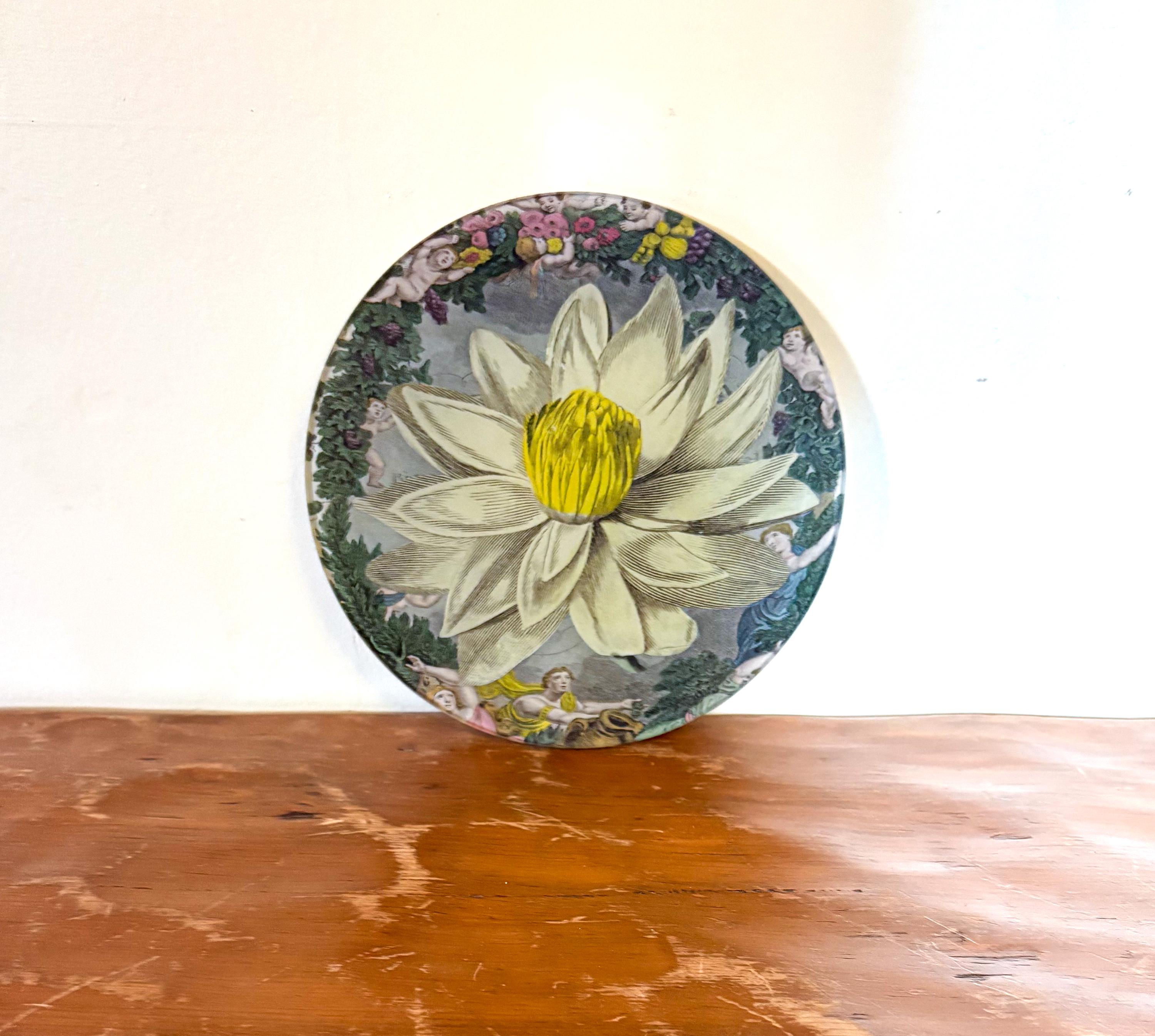 John Derian Plate - Etsy
