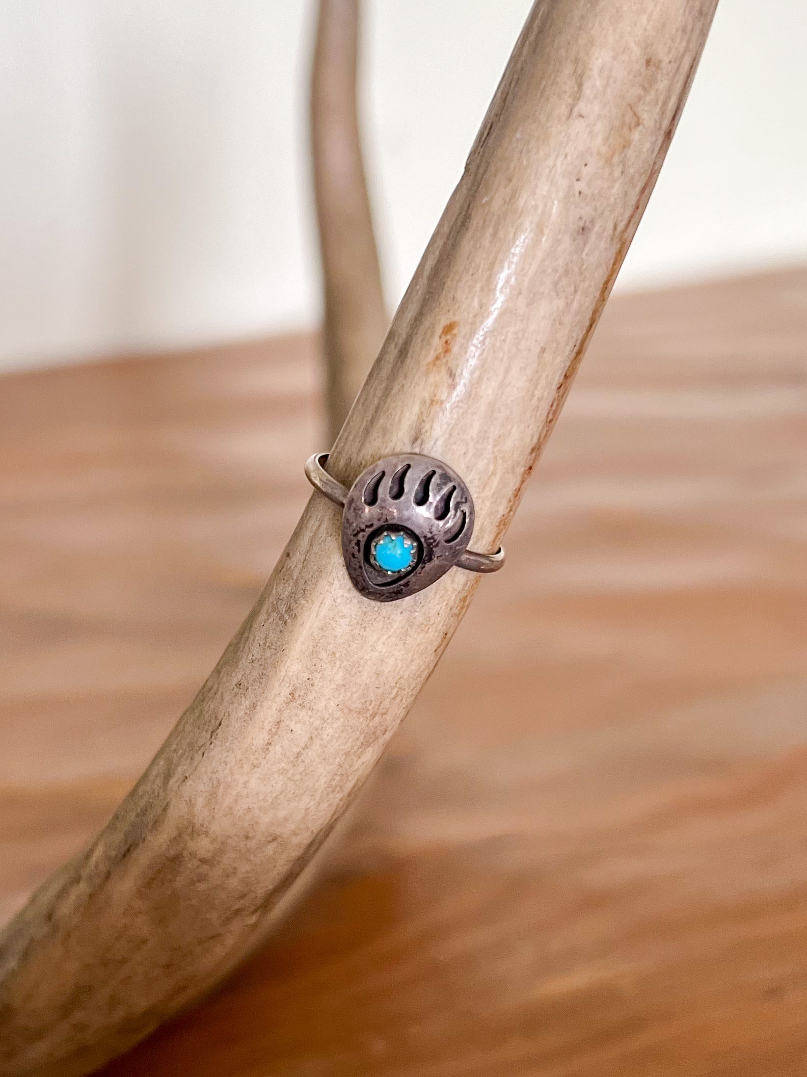 Turquoise bear shop claw ring