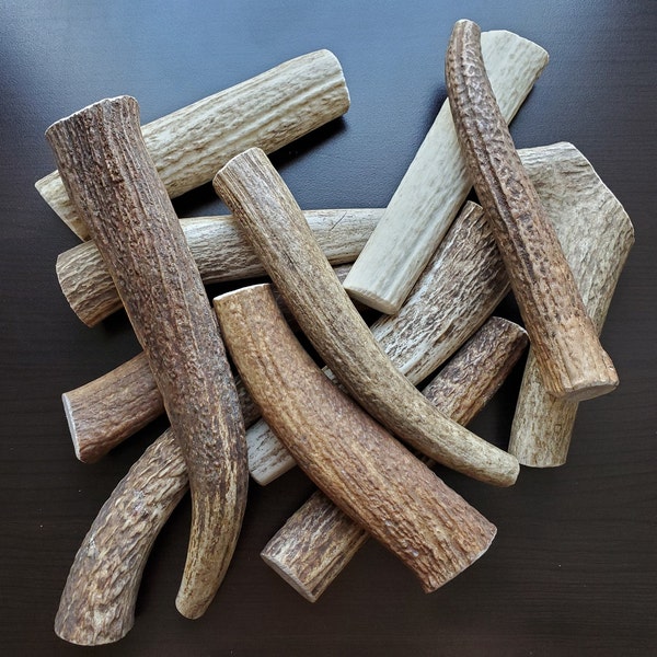 Elk Antler Dog Chew Premium Grade A USA Elk Antler Dog Chew Treat - 1 Piece - Size S/M/L/XL/Jumbo