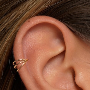 16G  Titanium Triple Hinge Hoop •  Hinged Segment Nose Ring •  Septum Clicker Ring • Cartilage Hoop • Helix Earring Hoop