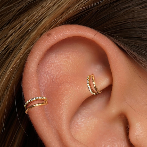 18G/16G Titanium Double Hinge Hoop • Hinged Segment Nose Ring