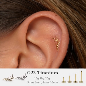 Può includere: Un orecchino dorato a forma di rametto è mostrato in un orecchio. L'immagine mostra anche il testo "G23 Titanium" e le misure 16g, 18g, 20g, 5mm, 6mm, 8mm e 10mm. Ulteriori orecchini sono mostrati negli angoli in basso a sinistra e a destra.