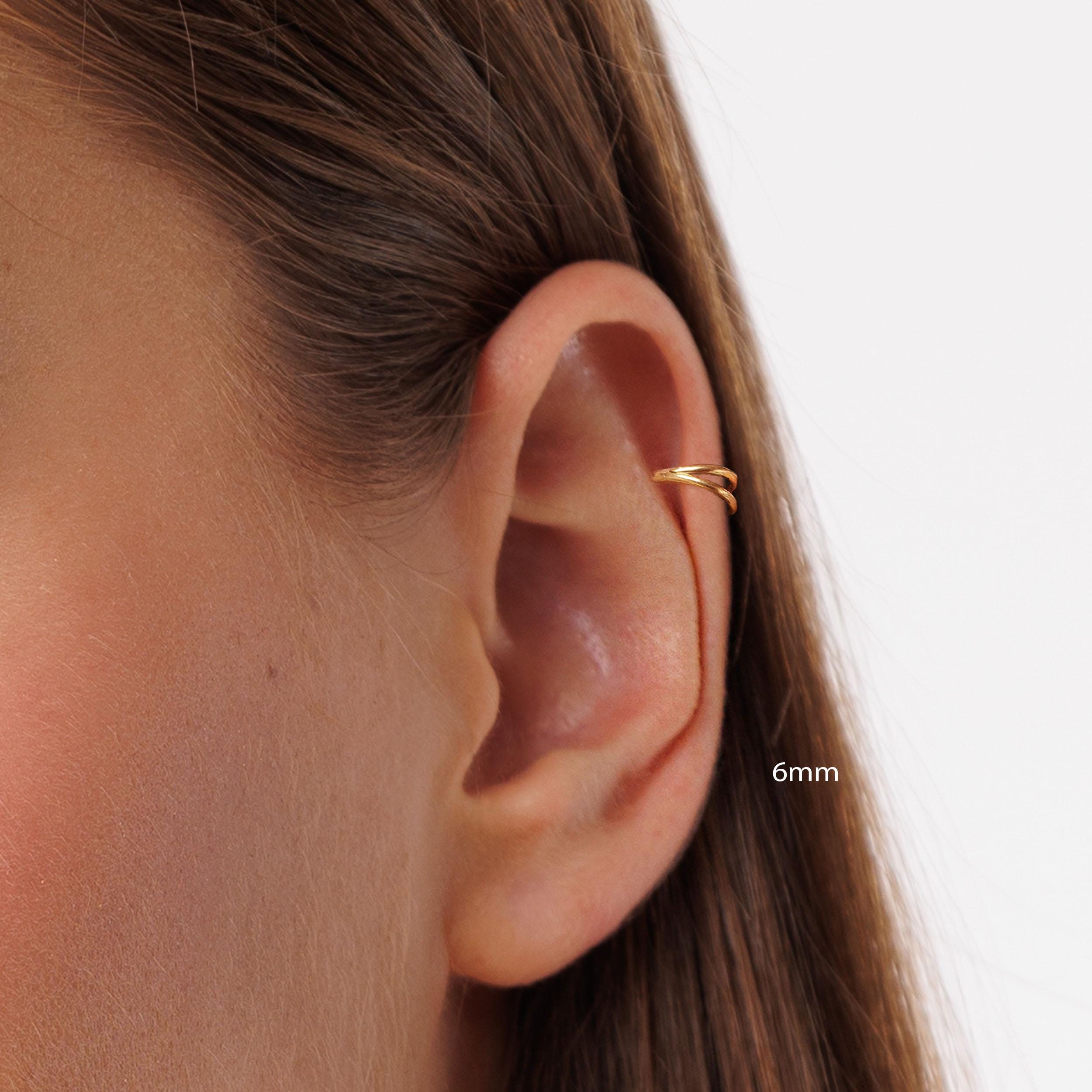 18G/16G Titanium Double Hinge Hoop • Hinged Segment Nose Ring