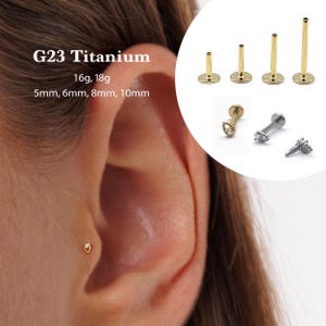 Pode incluir: Uma orelha em close-up com um pequeno brinco de ouro. A imagem também mostra vários brincos de titânio G23 dourados e prateados em vários estilos e tamanhos, incluindo 5 mm, 6 mm, 8 mm e 10 mm. O texto diz: G23 Titânio.