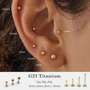 May include: Gold-colored G23 titanium flat back stud earrings with ball ends in various sizes including 2mm, 2.5mm, and 3mm. The set includes posts in 16g, 18g, and 20g gauges with lengths of 5mm, 6mm, 8mm, and 10mm, shown in an ear and separately.