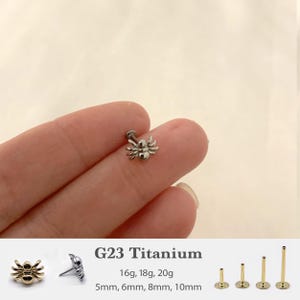20G/18G/16G Spider Push Pin Labret • Threadless Flat Back Earring • Tragus Stud • Flat Back Stud • Helix Stud • Cartilage Stud • Nose Stud