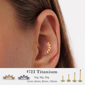 20G/18G/16G Tiny Climber Push Pin Labret • Threadless Flat Back Earring • Tragus Stud • Flat Back Stud • Helix Stud • Cartilage Stud ff