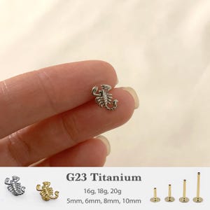 20G/18G/16G Scorpion Push Pin Labret • Threadless Flat Back Earring • Tragus Stud • Flat Back Stud • Helix Stud • Cartilage Stud • Nose Stud