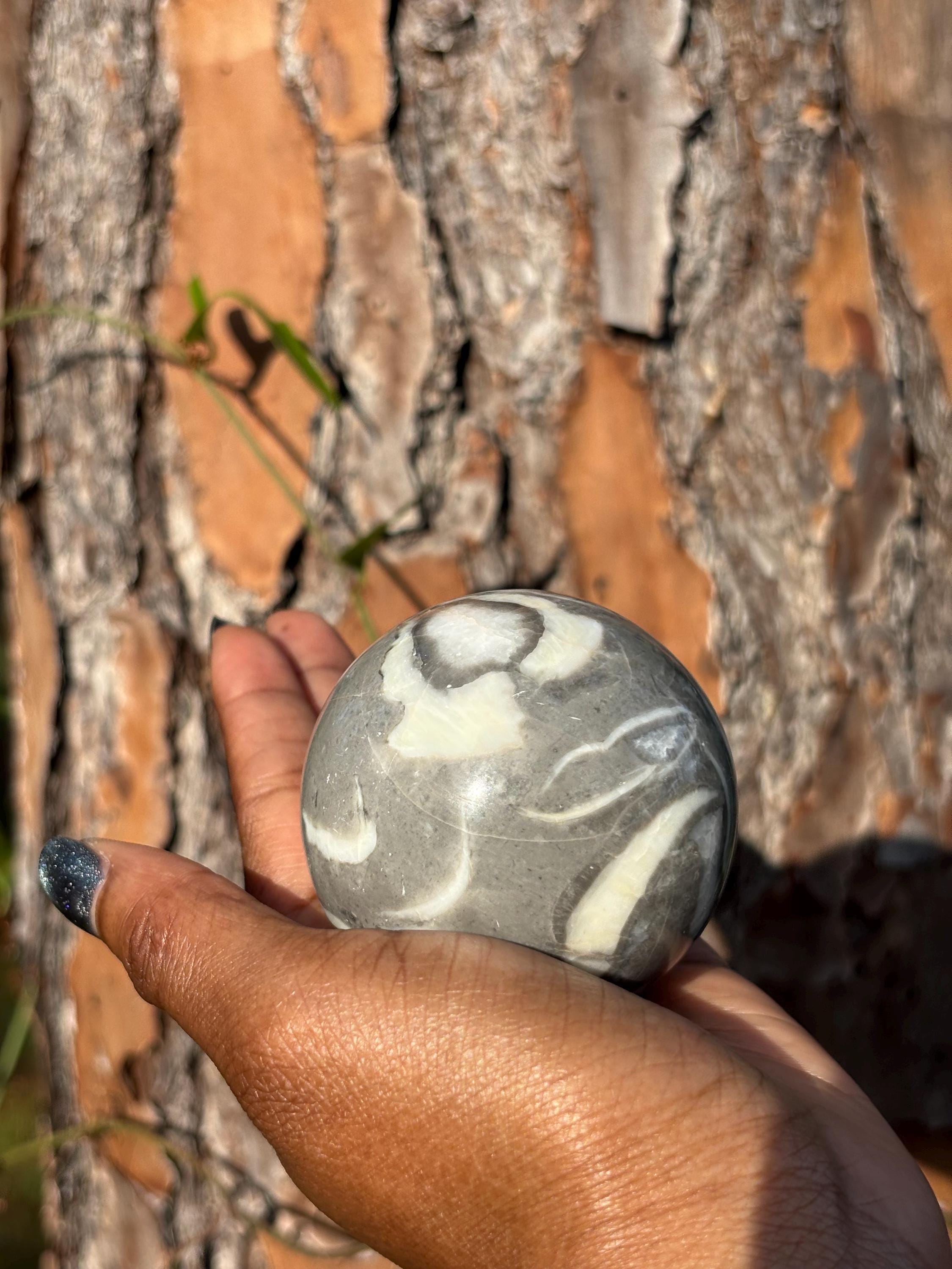 Fossil Stone Sphere