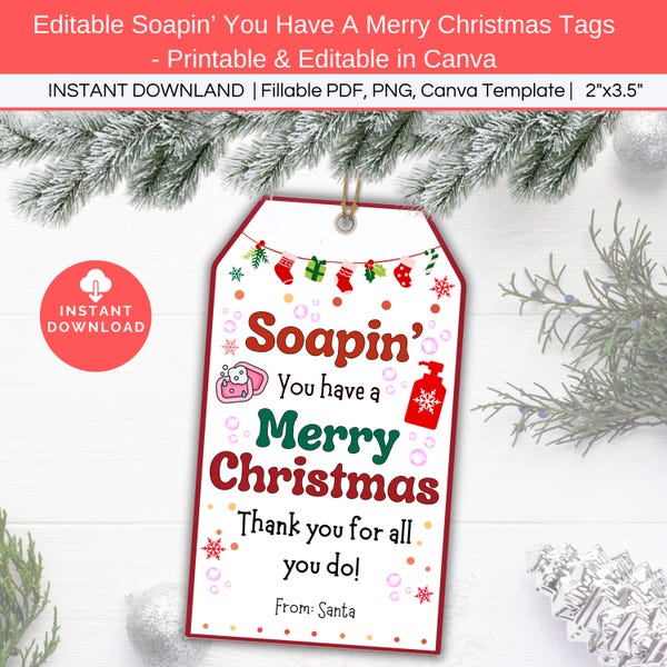 Soapin You have a Merry Christmas Printable Gift Tag, Handmade Soap Gift, Co-Workers Teachers Christmas Thank You Gift, Holiday Party Favor