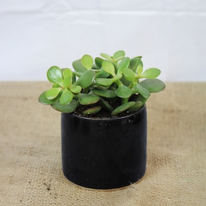 Mini vaso per piante in ceramica fatto a mano blu notte / diametro 8 cm