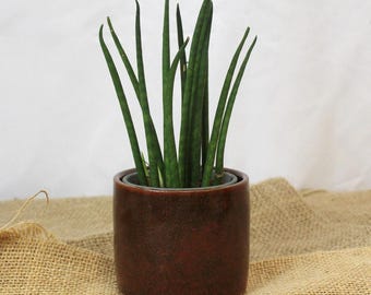 Mini Cinnamon Handmade Ceramic Plant Pot | 8cm diameter