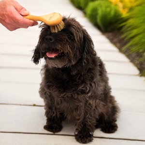 Soft Pet Grooming Brush with Wooden Handle | FSC®-certified Wood | Made in the UK | 100% Vegan