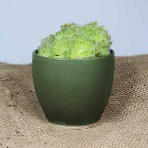 Mini Moss Green Handmade Ceramic Plant Pot | 9cm diameter