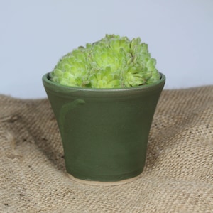 Mini Moss Green Tulip Shape Handmade Ceramic Plant Pot | 9.5cm diameter
