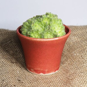 May include: A small, green succulent plant in a red terracotta pot. The pot has a slightly flared rim and a smooth, textured surface.