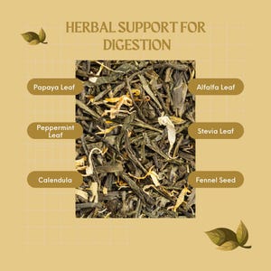 Detox Tea | All Natural | Parasite Flush & Belly Bloat Relief | Remove Toxins | Colon Cleansing | Improve Digestion | Bonus Gut Health Ebook
