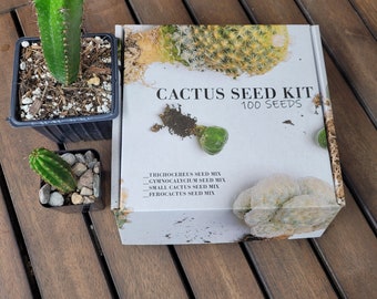 Tricho Cereus Cactus Seed Kit with 100 Seeds included Variety Seeds Cacti Garden