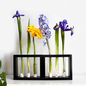 May include: A black metal stand with four glass test tubes holding blue irises, yellow gerbera daisies, and blue hyacinths.