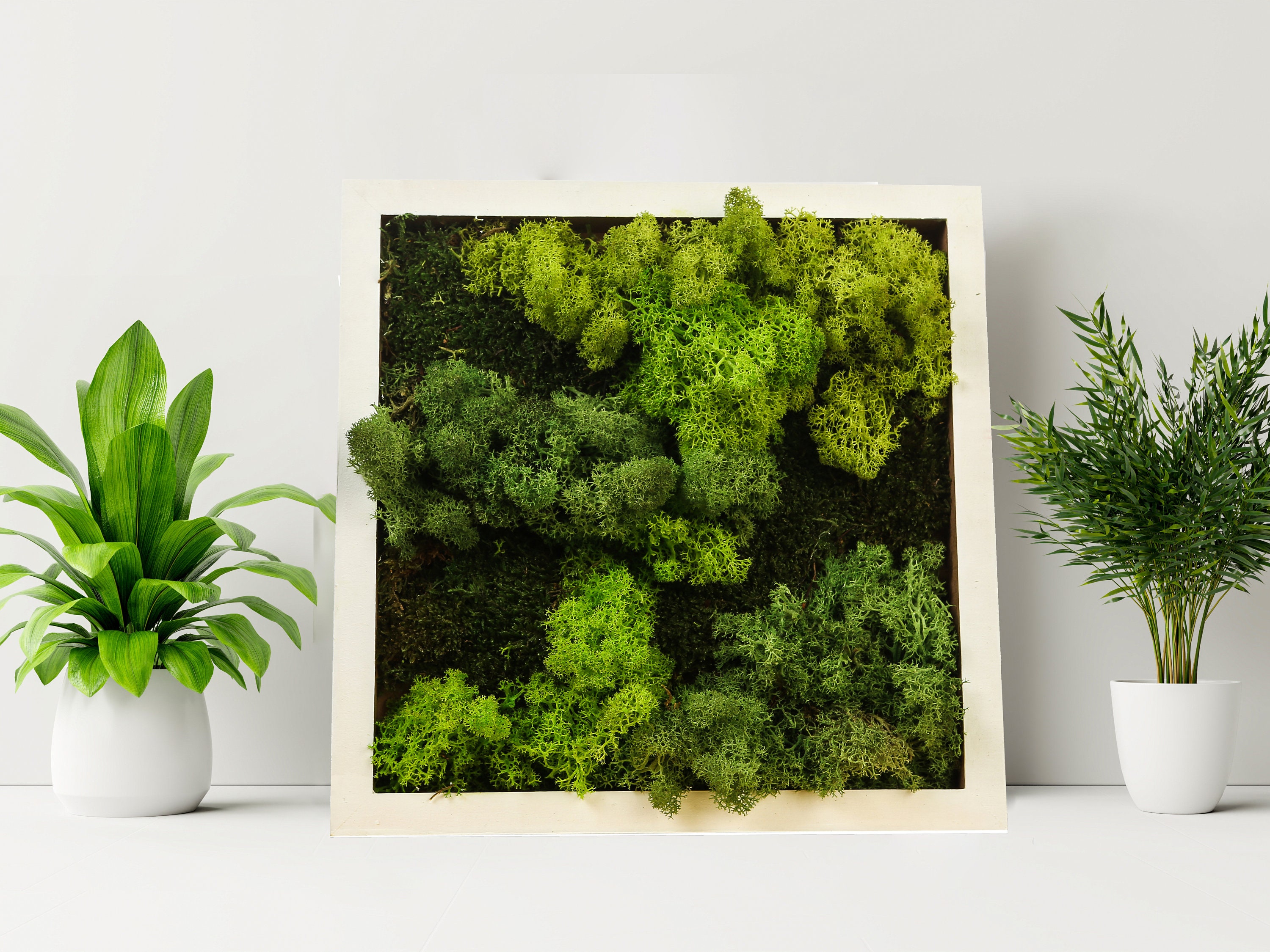 Arte da parete con muschio stabilizzato su misura, decorazione da
