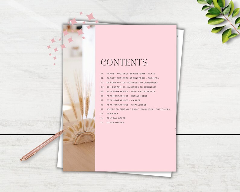 Pasta de trabalho de negócios, DOWNLOAD INSTANTÂNEO, público-alvo, modelo de negócios, comprador ideal, avatar do cliente, estratégia de negócios, rosa, PM02 imagem 3