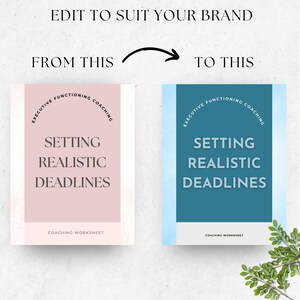 May include: Image showing two coaching worksheet designs. The left design is pink, the right is blue. Both feature the text "Executive Functioning Coaching", "Setting Realistic Deadlines", and "Coaching Worksheet".