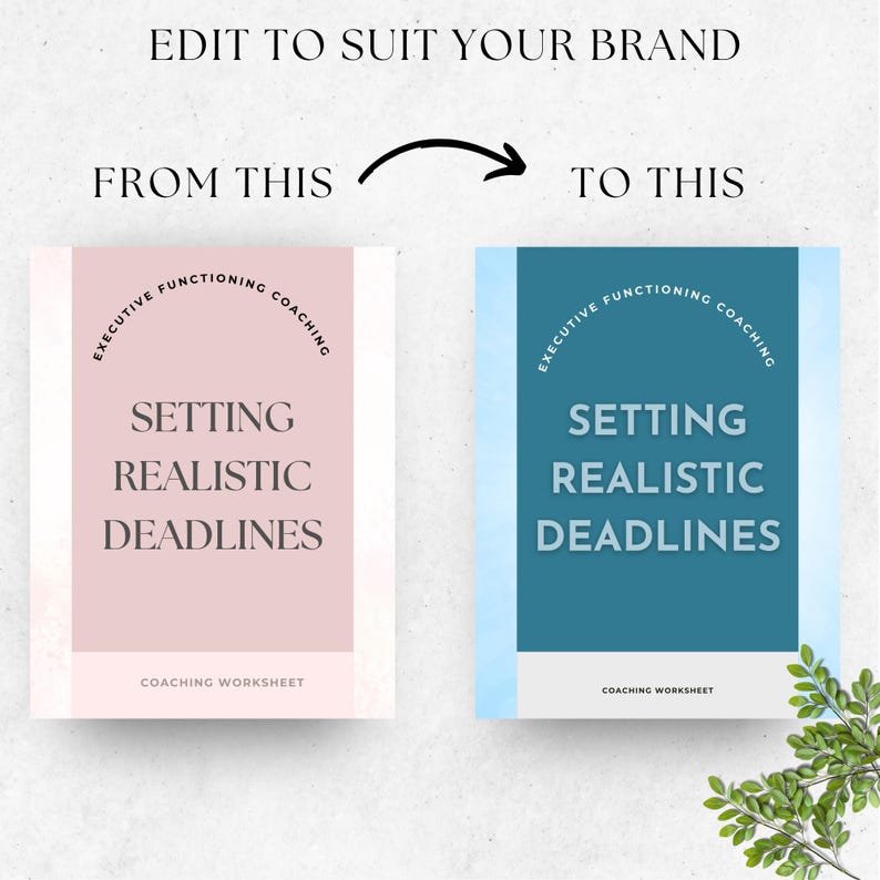 May include: Image showing two coaching worksheet designs. The left design is pink, the right is blue. Both feature the text "Executive Functioning Coaching", "Setting Realistic Deadlines", and "Coaching Worksheet".