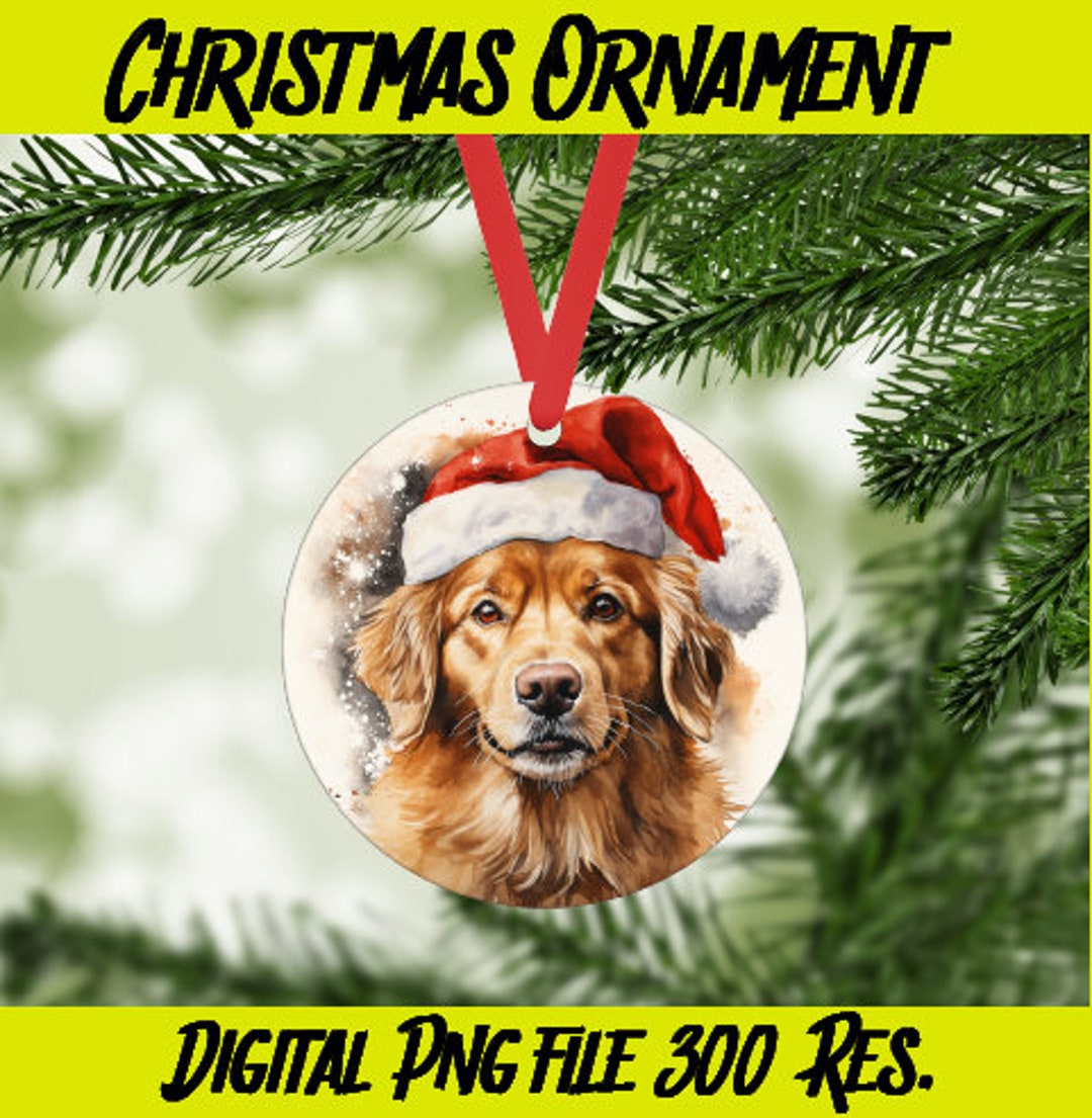 Santa Dog 6 Christmas Golden Retriever Digital PNG- Ornaments, Holiday ...