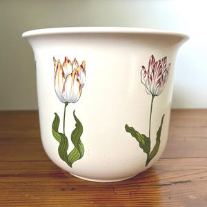 May include: A cream-colored ceramic planter featuring two distinct tulip illustrations. One tulip has white and orange petals, while the other has white and deep red striped petals. Both flowers have long, green, wavy stems and leaves.