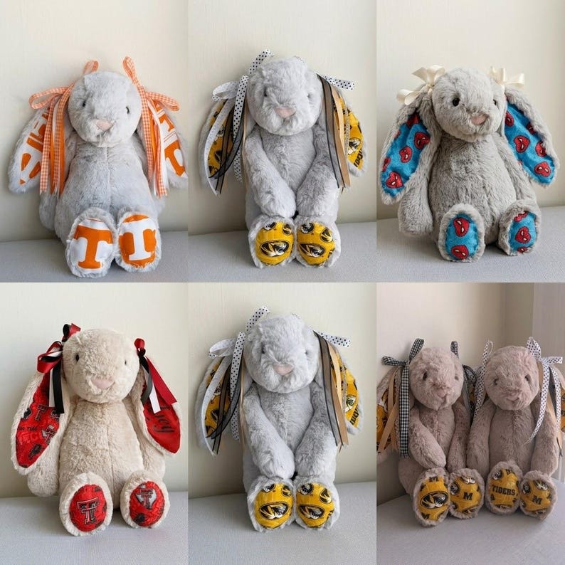 Custom College Bunny: Personalized Plush, Graduation Gift, Dorm Decor image 3