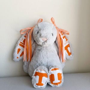 May include: A plush gray bunny with orange and white accents. The bunny's ears have orange and white ribbons and fabric with the letter "T". The bunny's feet also feature the letter "T" in orange.
