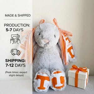 May include: A plush gray bunny with orange and white accents, including ribbons and foot pads with a large "T" logo. A white gift box with an orange ribbon sits nearby. The text "MADE & SHIPPED" and "PRODUCTION: 5-7 DAYS" is visible.