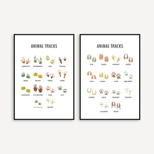 Animal Tracks Set of 2, Educational Prints, Forest Decor, Woodland Nursery, Neutral Decor, Playroom, Woodland Animals
