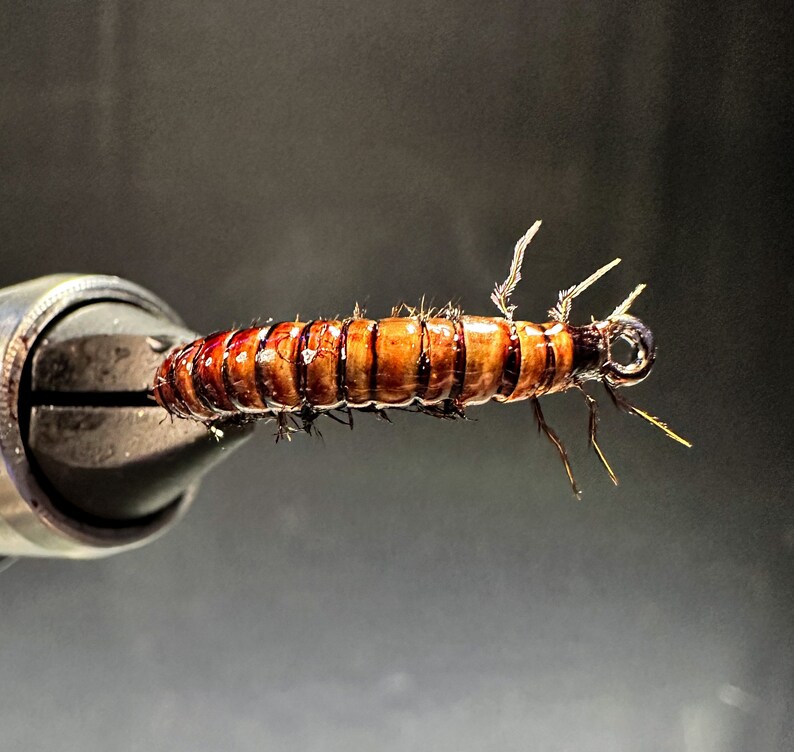 Realistic Caddis Larvae Etsy