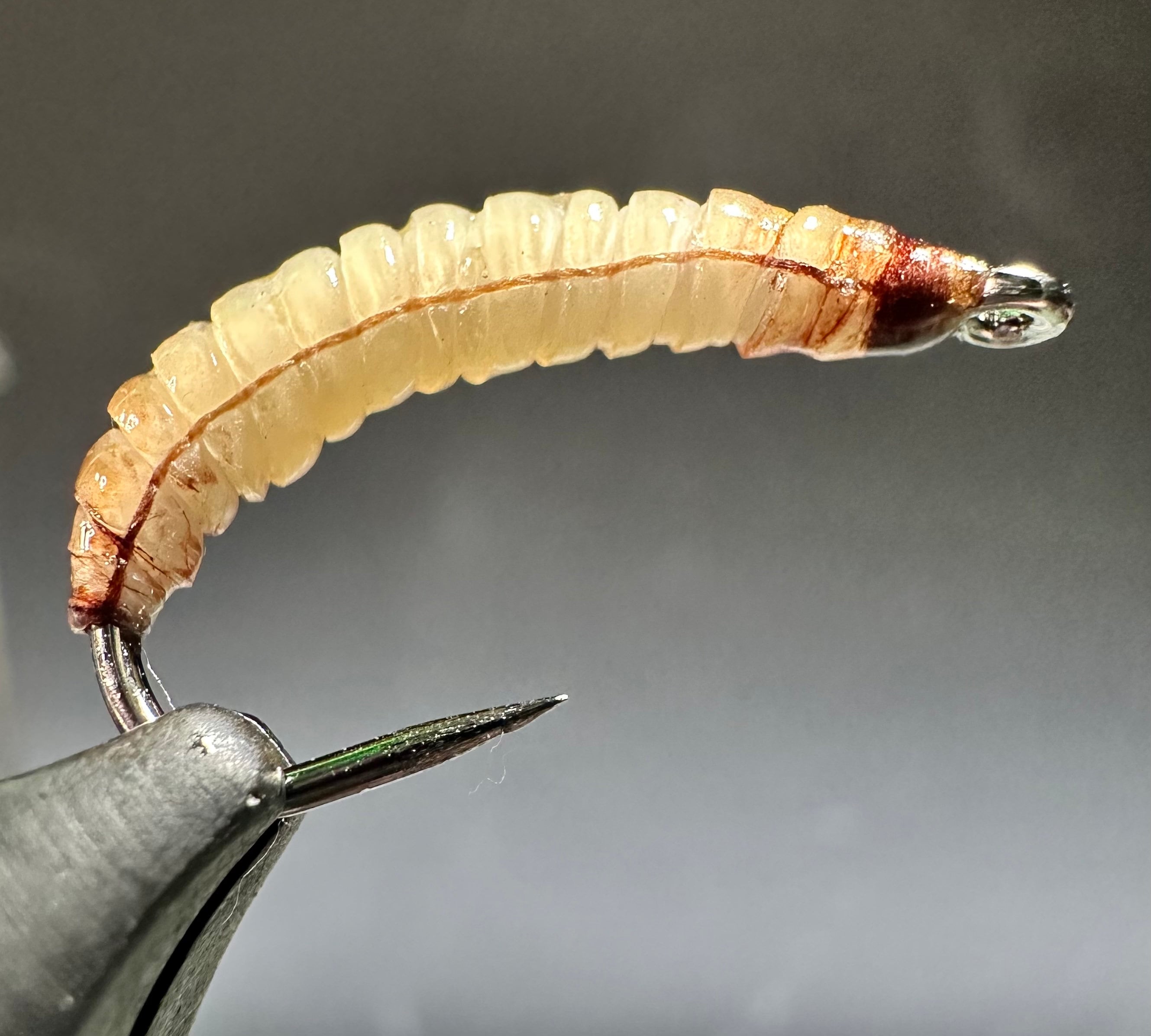 Realistic Wax Worm Fly 