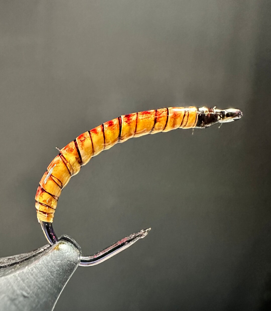 Realistic Mealworm Fly Etsy