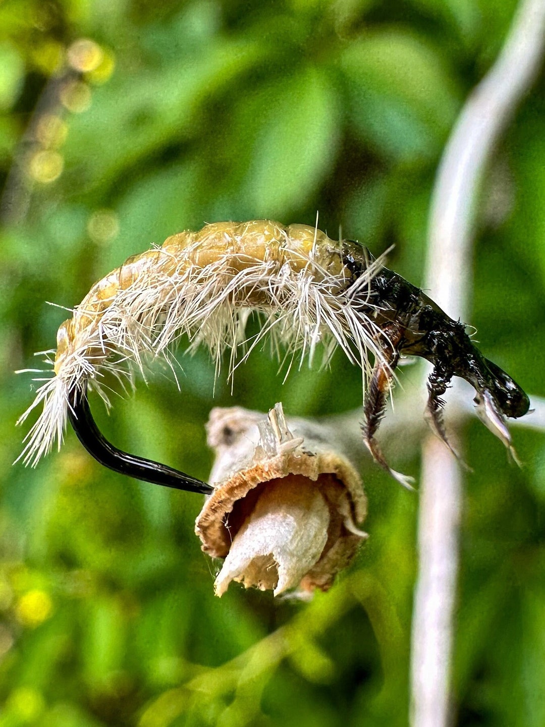 Realistic Caddis Larvae Etsy