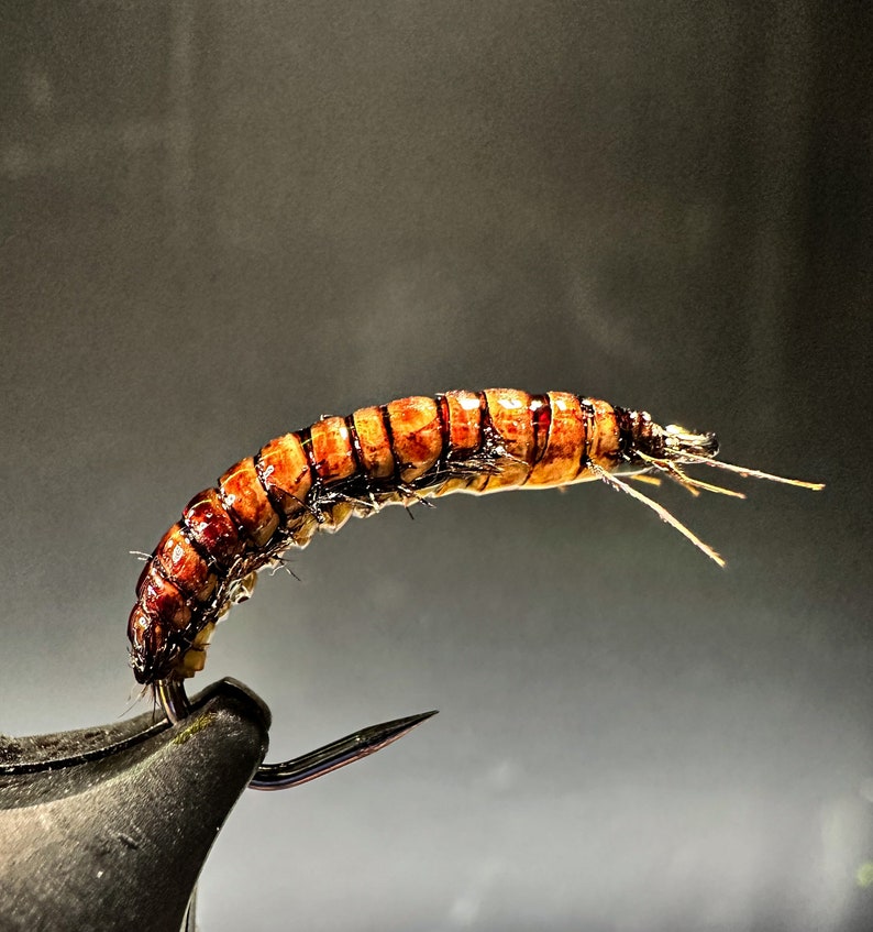 Realistic Caddis Larvae Etsy