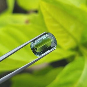 Green Tourmaline Gemstone: Faceted Cushion Cut, 2.87 ct