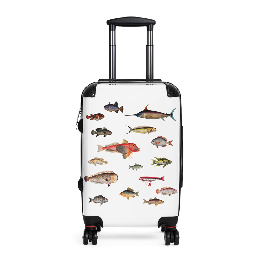 Fish, Fisherman, Fisher Woman, Fish Variety, Travel Luggage, Cruise ...