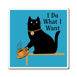 Cat, Cat Magnet, Funny Cat, Cat Lover, I do what I want, Best friend Gift, Magnets